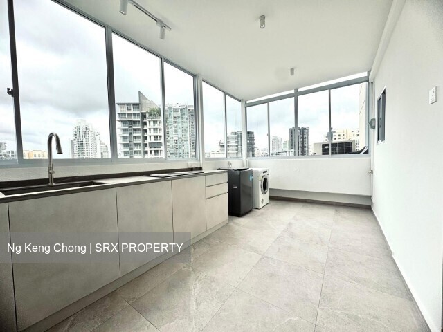 Balestier Point (D12), Apartment #542199421